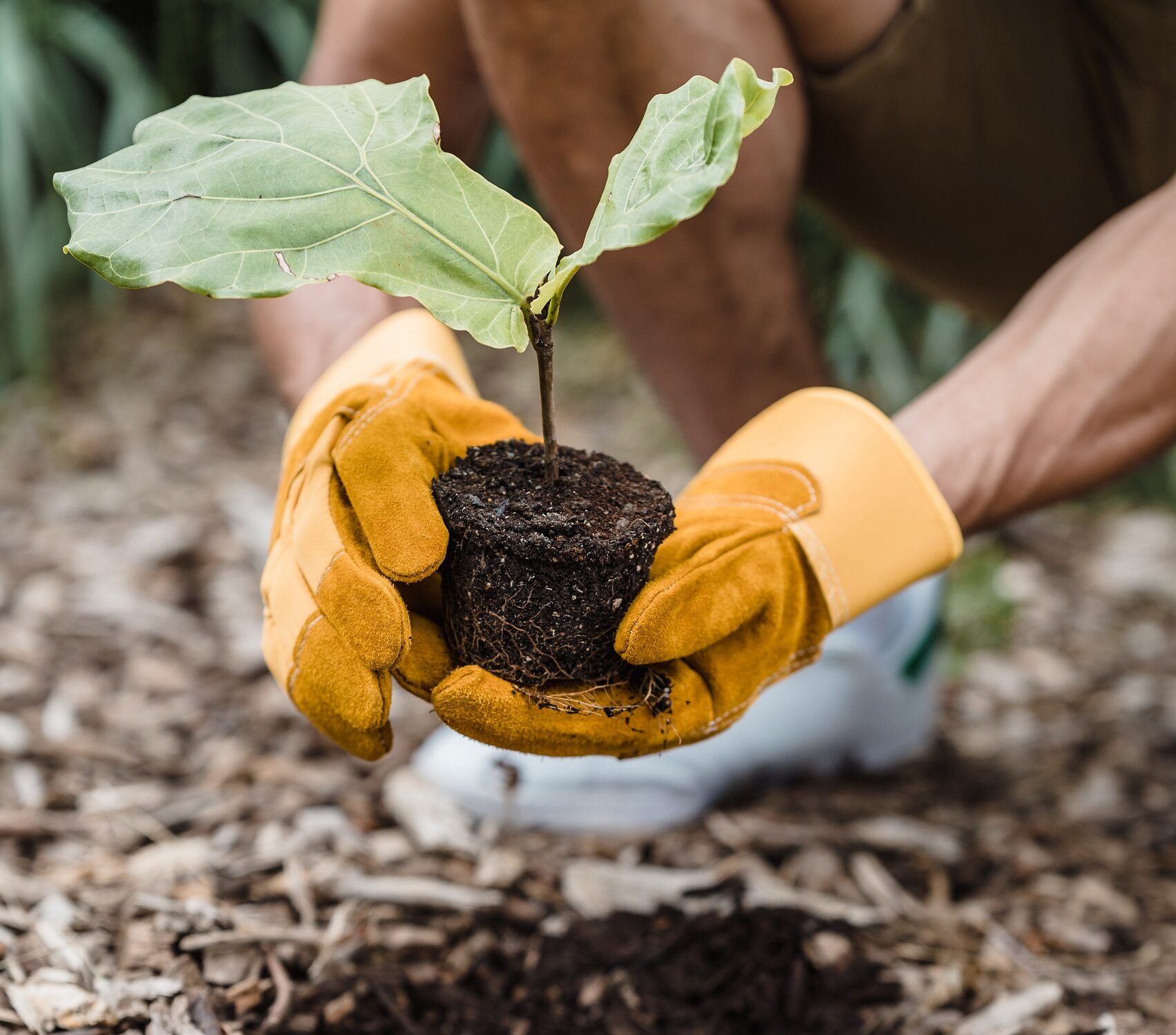 Responsabilidade ambiental